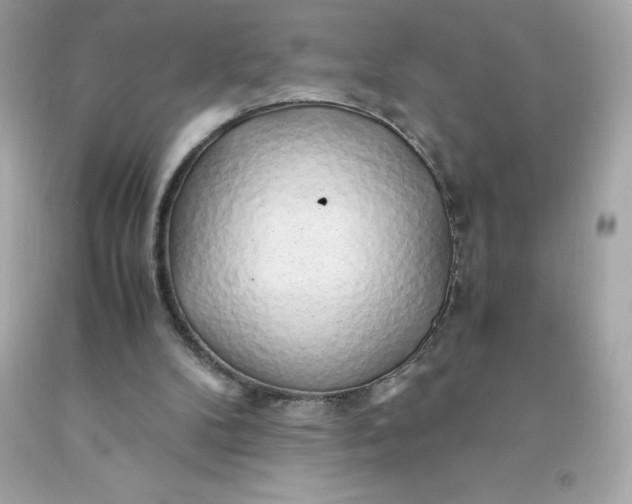 X0000091490104200709061910