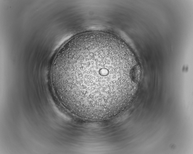 X0000091490106200709061910