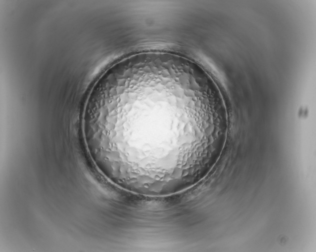 X0000091490107200709061909