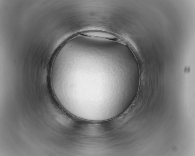 X0000091490108200709061909
