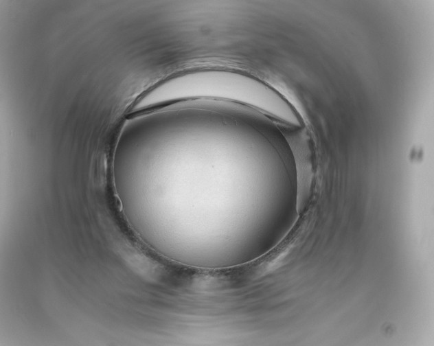 X0000091490109200709061909