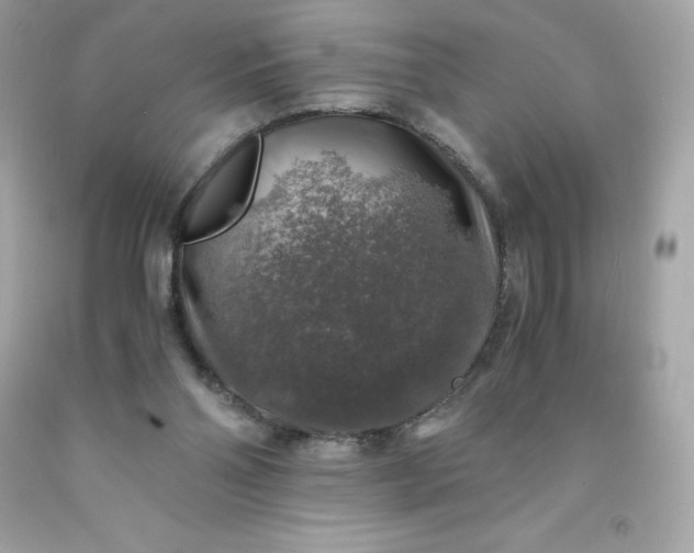 X0000091490110200709061909
