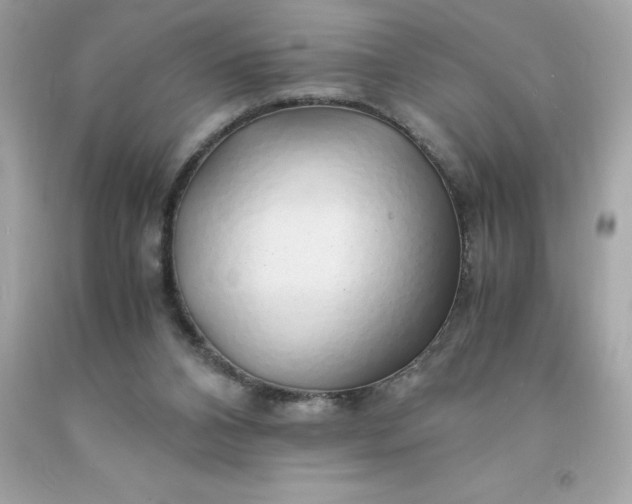 X0000091490112200709061909