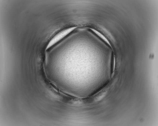X0000091490113200709061909