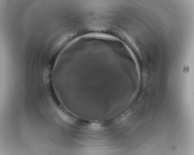 X0000091490114200709061909