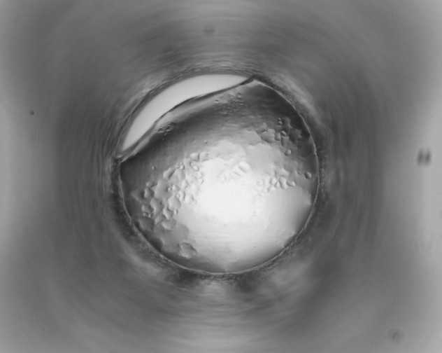 X0000091490115200709061909