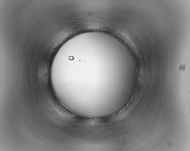 X0000091490116200709061909
