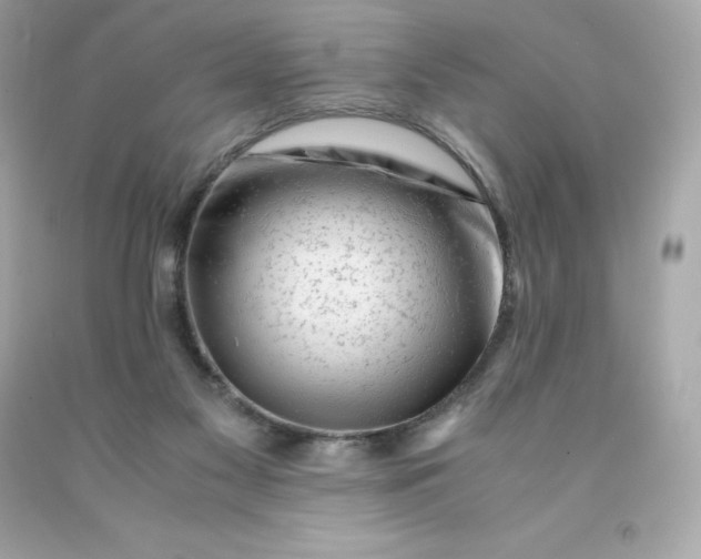 X0000091490117200709061909