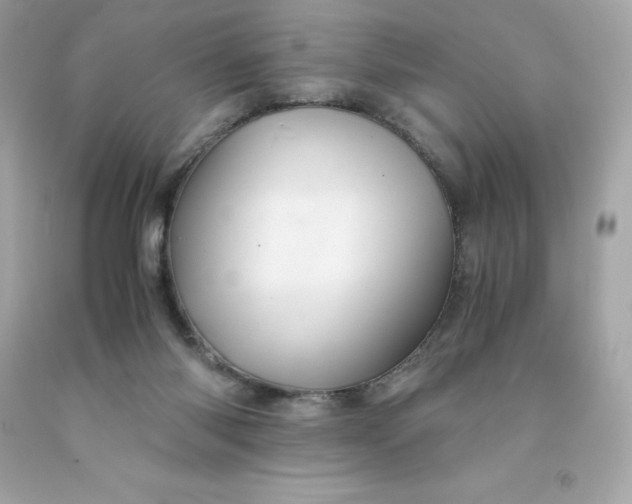 X0000091490118200709061909