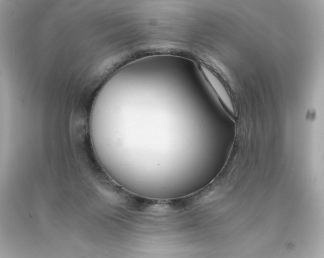 X0000091490119200709061909