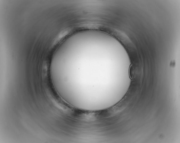 X0000091490120200709061909