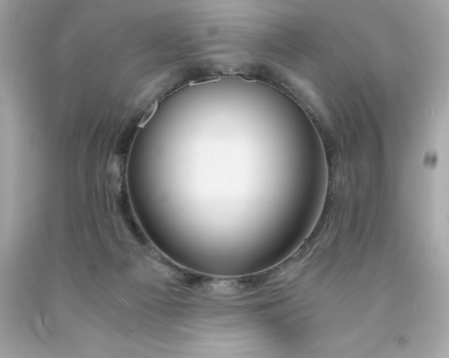 X0000091490121200709061909