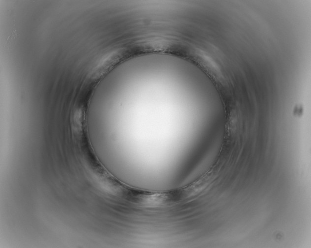 X0000091490122200709061909
