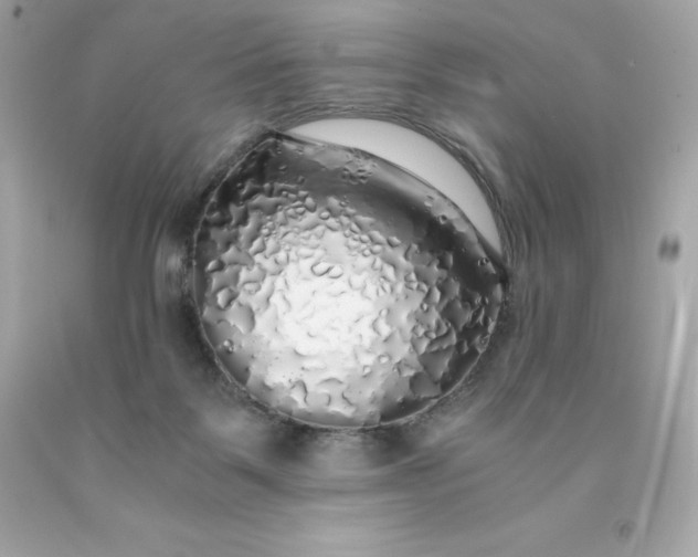 X0000091490123200709061909