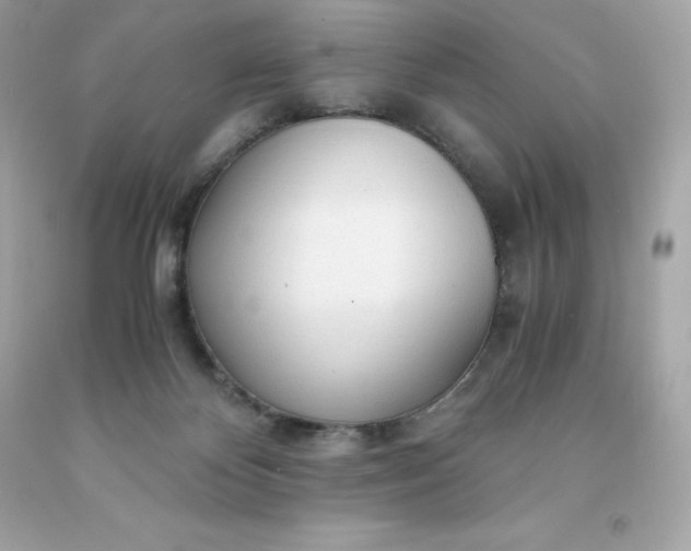 X0000091490124200709061909