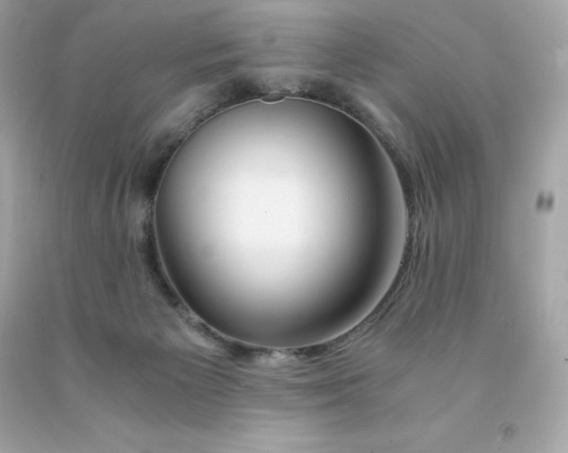 X0000091490125200709061909