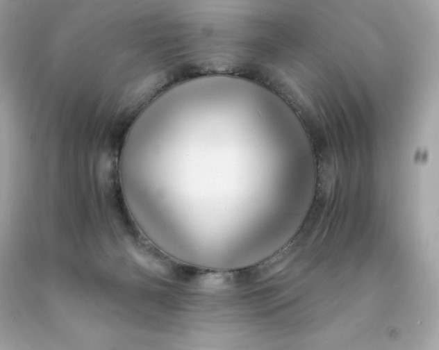 X0000091490126200709061909