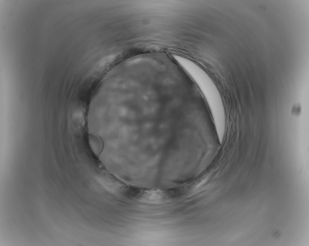 X0000091490127200709061909
