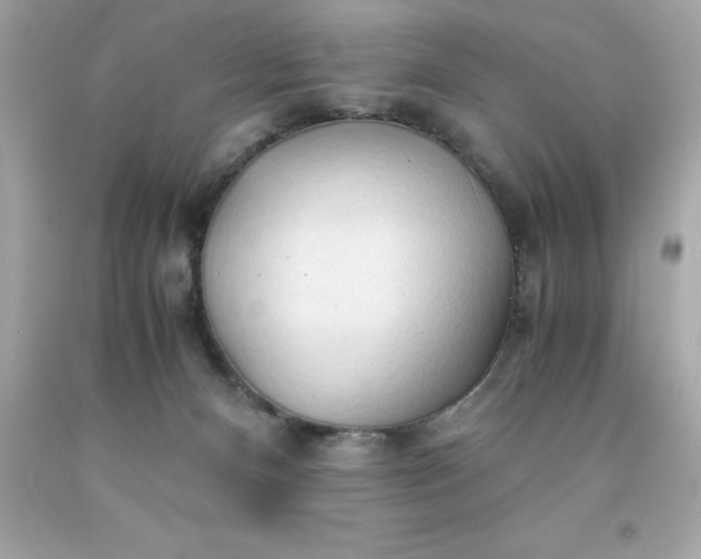 X0000091490128200709061909