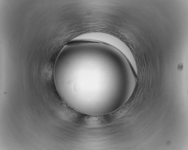 X0000091490129200709061909
