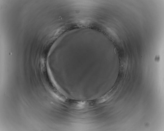 X0000091490130200709061909