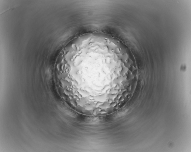 X0000091490131200709061909