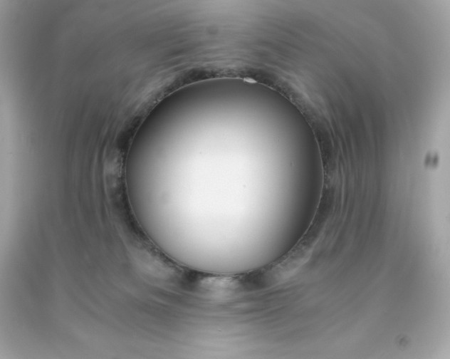 X0000091490133200709061909