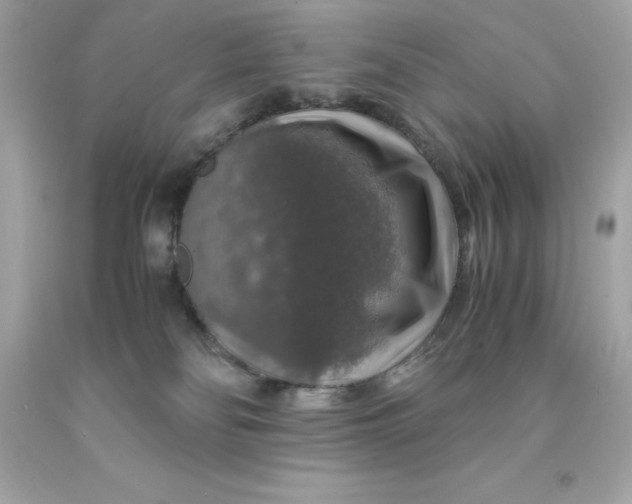 X0000091490134200709061909
