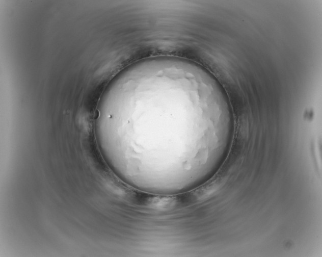 X0000091490135200709061909
