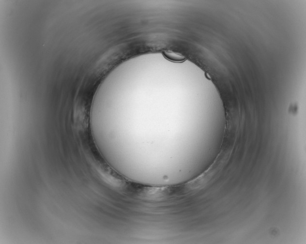 X0000091490136200709061909