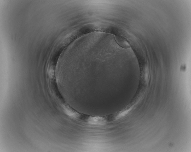 X0000091490137200709061909