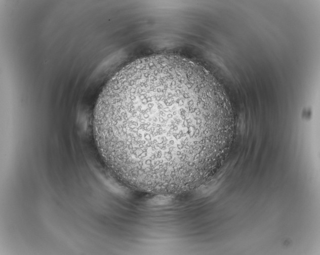 X0000091490138200709061909