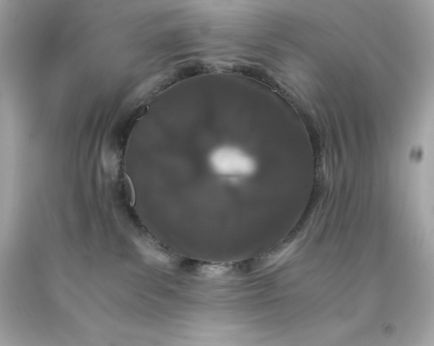 X0000091490139200709061909