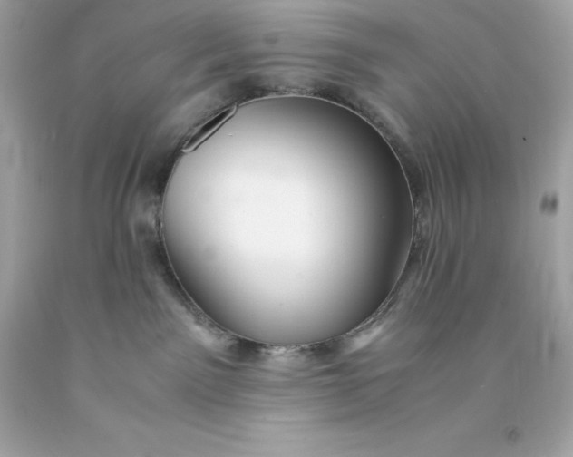 X0000091490141200709061909