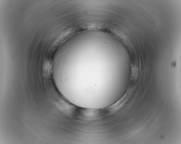 X0000091490142200709061909