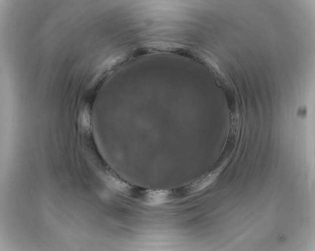 X0000091490143200709061909
