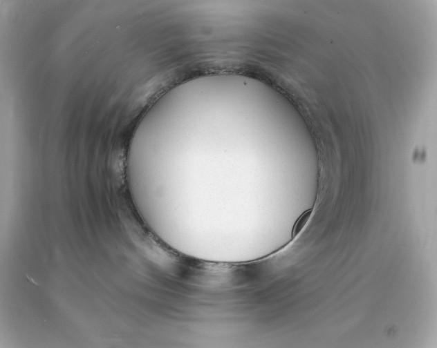 X0000091490144200709061909