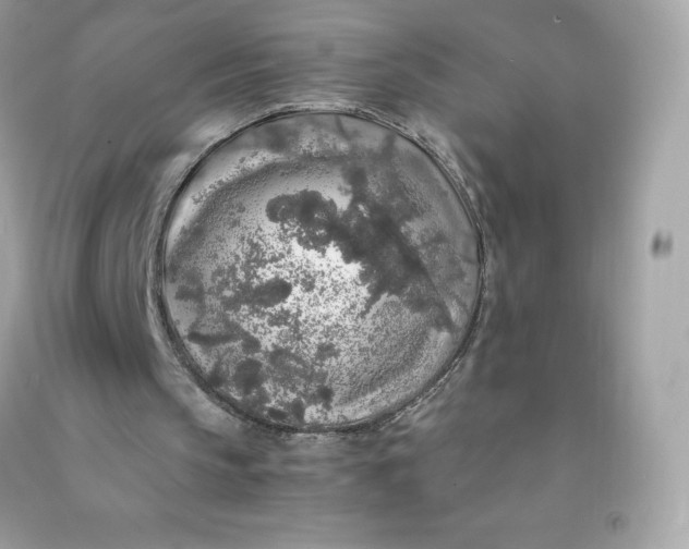 X0000091490145200709061908