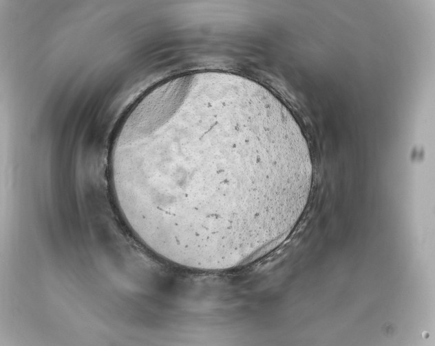 X0000091490146200709061908