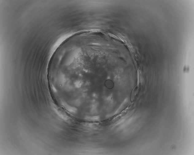 X0000091490147200709061908