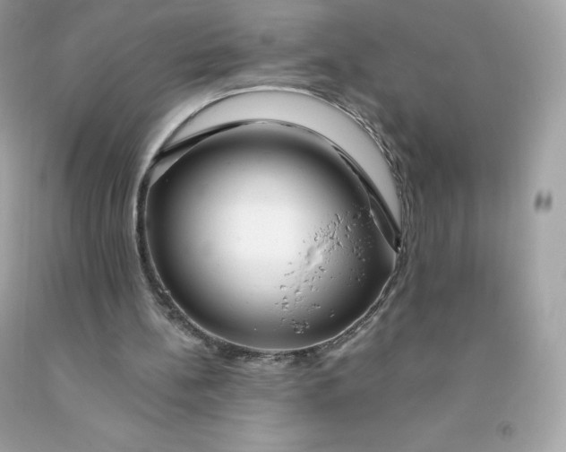 X0000091490148200709061908