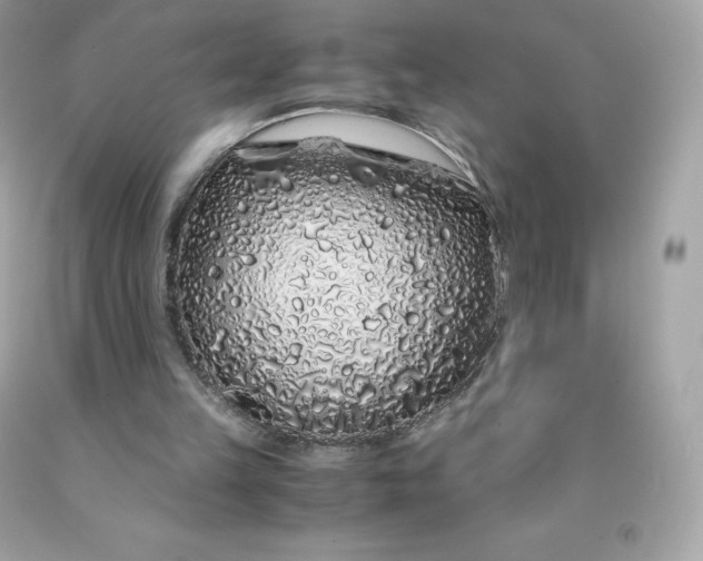 X0000091490149200709061908