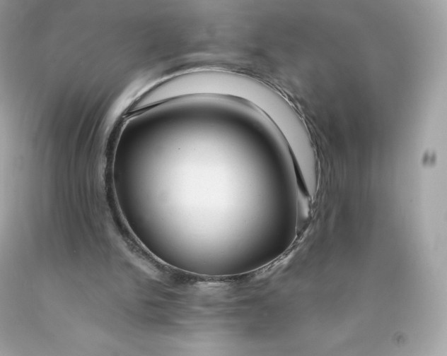 X0000091490150200709061908