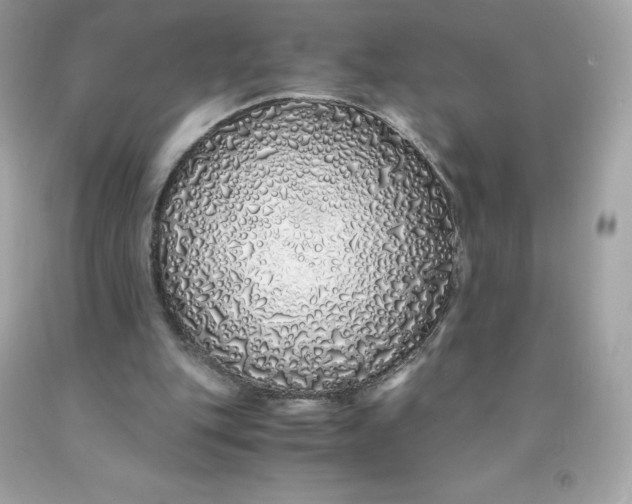X0000091490151200709061908