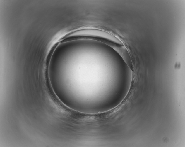 X0000091490152200709061908