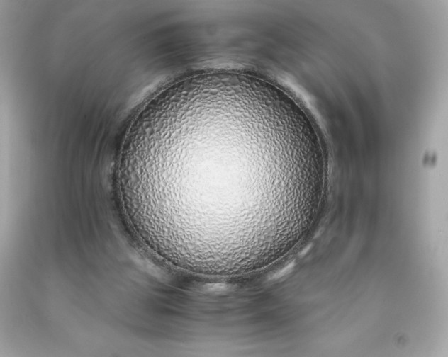 X0000091490153200709061908