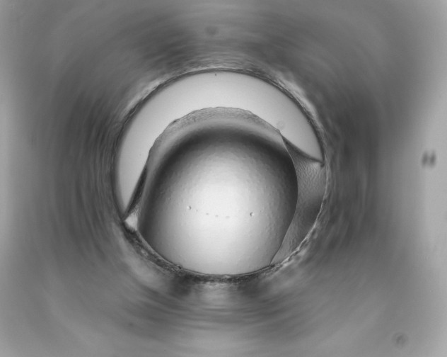 X0000091490154200709061908
