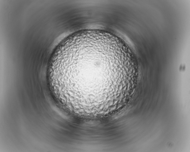 X0000091490155200709061908