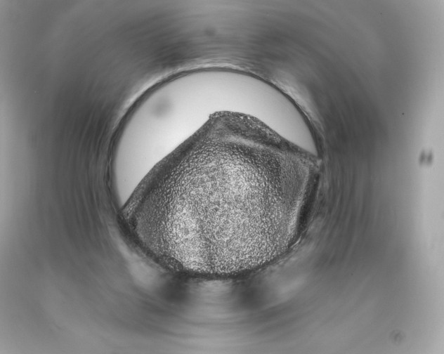 X0000091490156200709061908