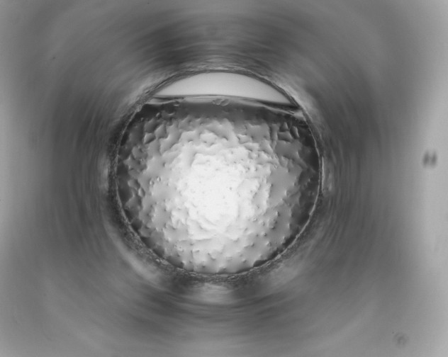 X0000091490157200709061908